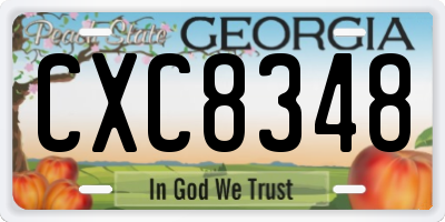 GA license plate CXC8348