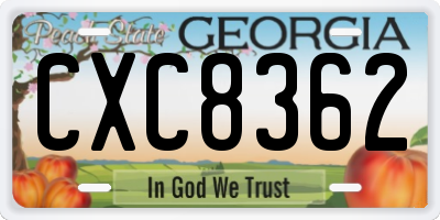 GA license plate CXC8362