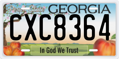 GA license plate CXC8364