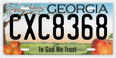 GA license plate CXC8368
