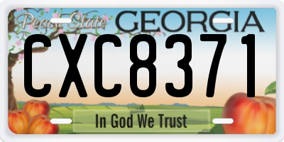 GA license plate CXC8371