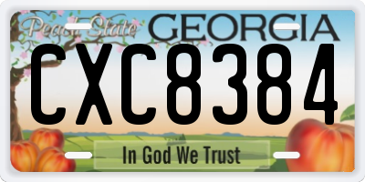 GA license plate CXC8384