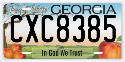 GA license plate CXC8385