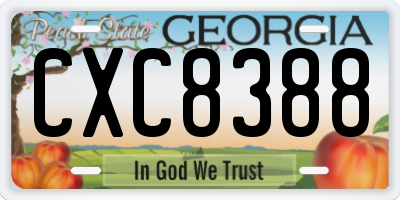 GA license plate CXC8388