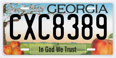 GA license plate CXC8389