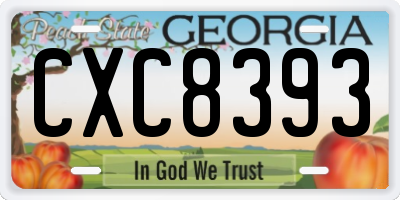 GA license plate CXC8393