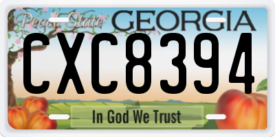 GA license plate CXC8394