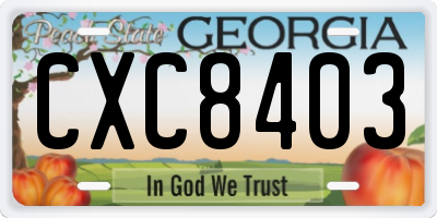 GA license plate CXC8403