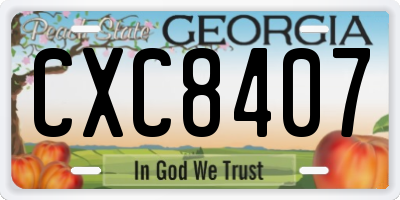 GA license plate CXC8407
