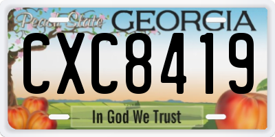 GA license plate CXC8419
