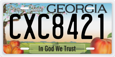 GA license plate CXC8421