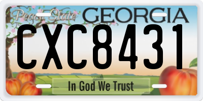 GA license plate CXC8431