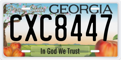 GA license plate CXC8447