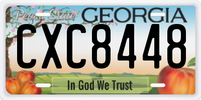 GA license plate CXC8448