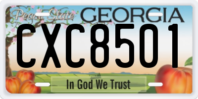 GA license plate CXC8501