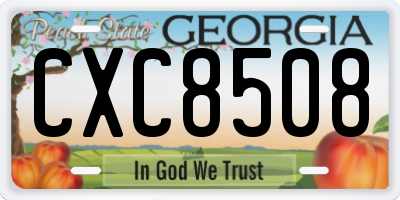 GA license plate CXC8508