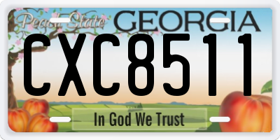GA license plate CXC8511
