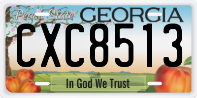 GA license plate CXC8513