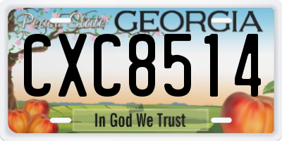 GA license plate CXC8514