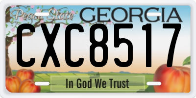 GA license plate CXC8517
