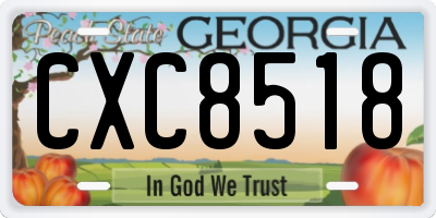 GA license plate CXC8518
