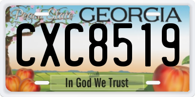 GA license plate CXC8519