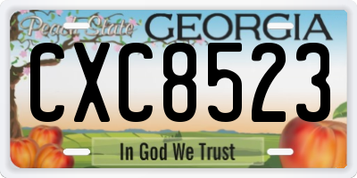 GA license plate CXC8523
