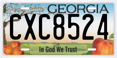 GA license plate CXC8524