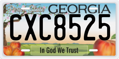 GA license plate CXC8525