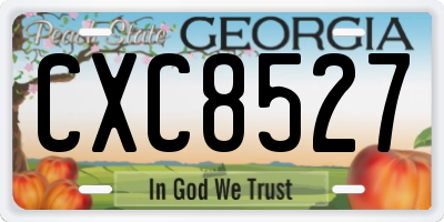 GA license plate CXC8527