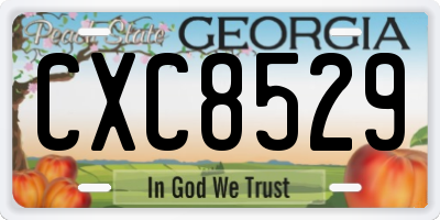 GA license plate CXC8529