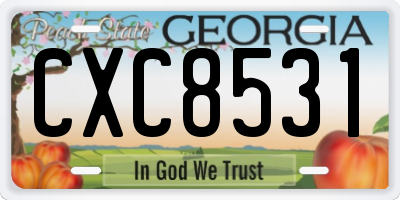 GA license plate CXC8531