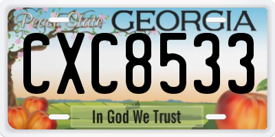 GA license plate CXC8533