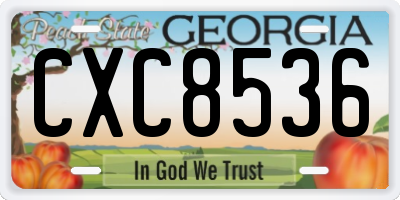 GA license plate CXC8536