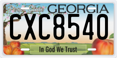 GA license plate CXC8540