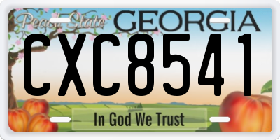 GA license plate CXC8541