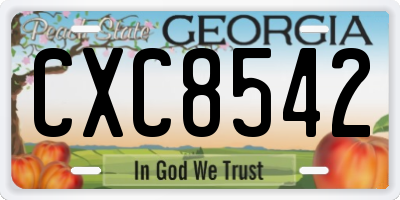 GA license plate CXC8542