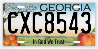 GA license plate CXC8543