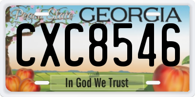 GA license plate CXC8546