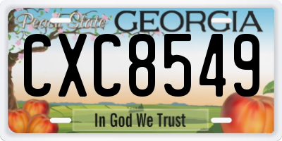 GA license plate CXC8549