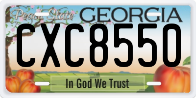GA license plate CXC8550