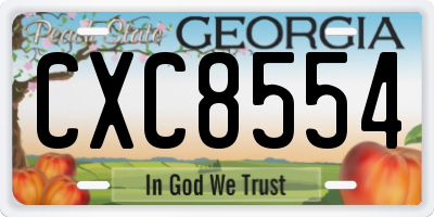 GA license plate CXC8554