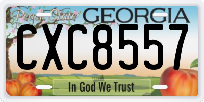 GA license plate CXC8557