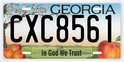 GA license plate CXC8561