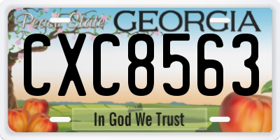 GA license plate CXC8563