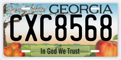GA license plate CXC8568