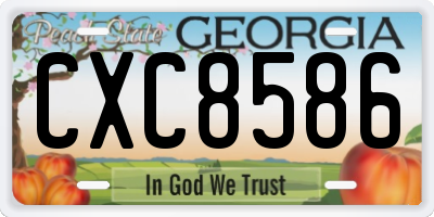 GA license plate CXC8586