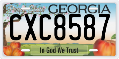 GA license plate CXC8587