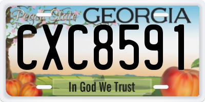 GA license plate CXC8591