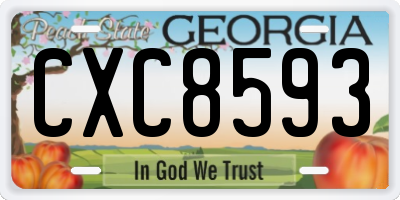 GA license plate CXC8593